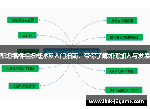 斯坦福桥组织概述及入门指南，带你了解如何加入与发展
