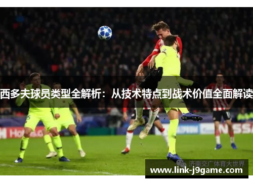 西多夫球员类型全解析：从技术特点到战术价值全面解读